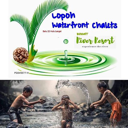 フル・ランガッ Lopoh Waterfront Budget Chaletsヴィラ エクステリア 写真