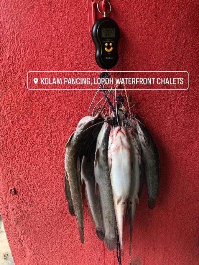 フル・ランガッ Lopoh Waterfront Budget Chaletsヴィラ エクステリア 写真